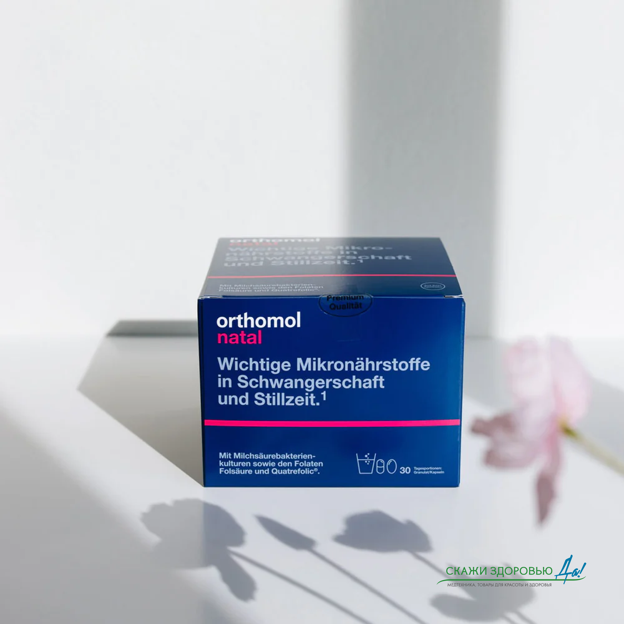 БАД для беременных женщин ОРТОМОЛ/ORTHOMOL® Natal (порошок+капсулы) № 30 БАД для беременных женщин ОРТОМОЛ/ORTHOMOL® Natal (порошок+капсулы) № 30